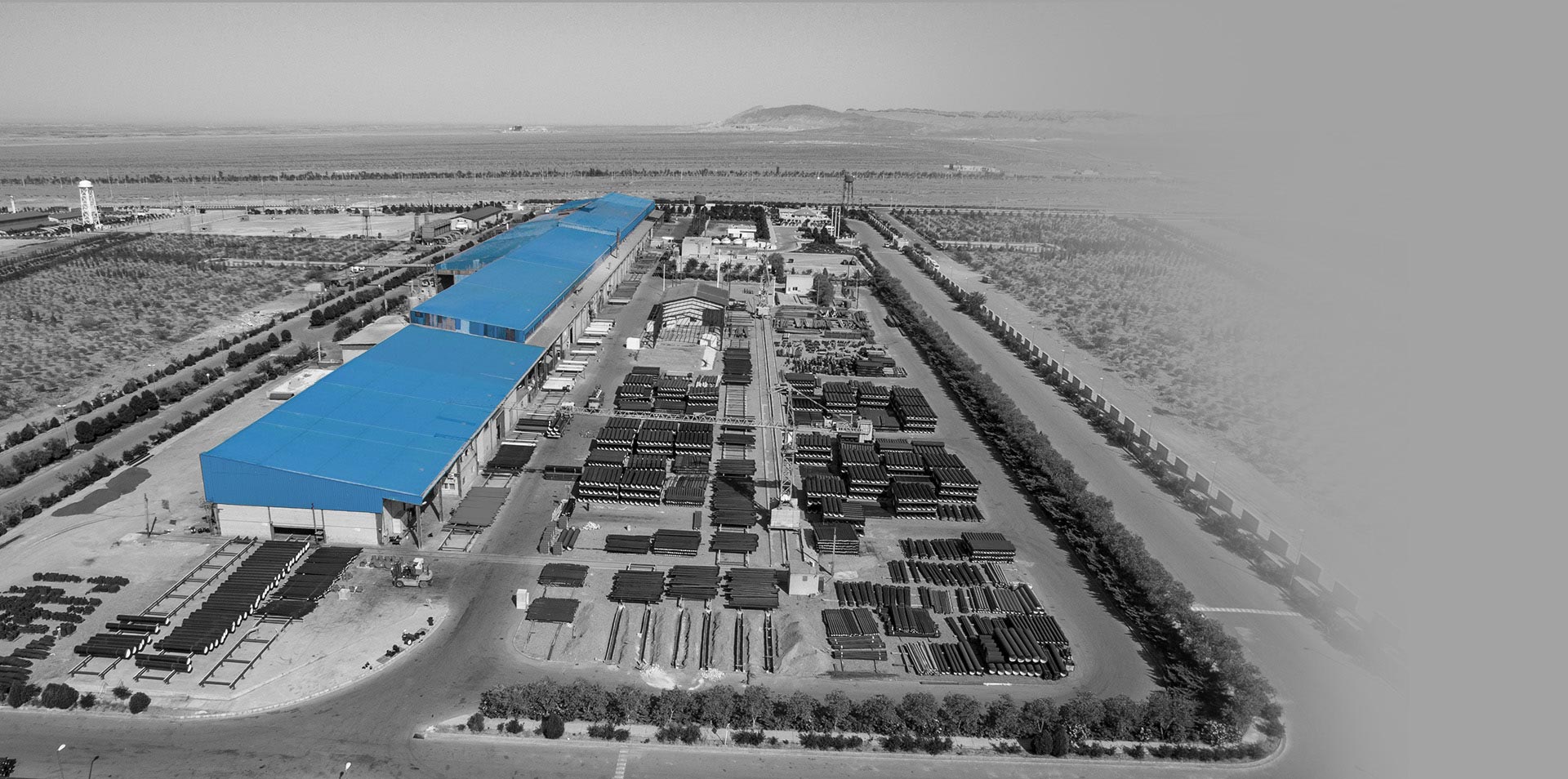 شرکت هامون نایزه، واحد ممتاز صنعت استان اصفهان در سال ۱۴۰۳