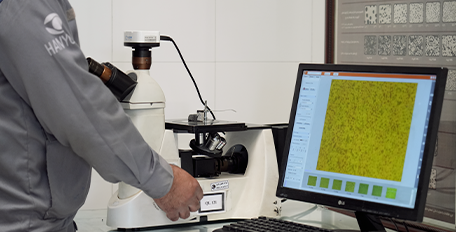 Standards and Certificates